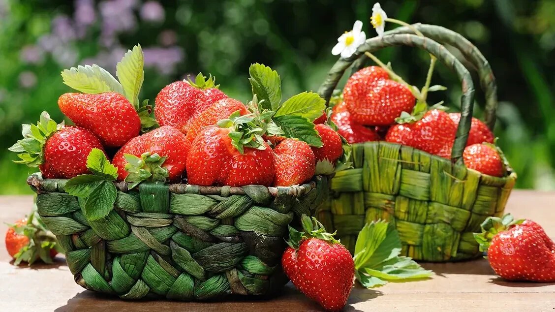 Как вырастить крупную клубнику без химии и с максимальным урожаем