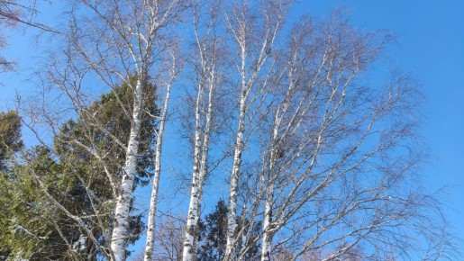 ������ ����� �����: � ����� �� � ���� �������� ������������