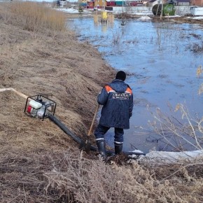 � ���� ������ � ��������� �������� ������� ����