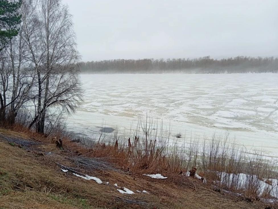 В Марий Эл начался активный ледоход