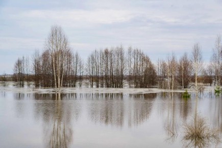 ����� ����� �� ���� ������ ���������������� �������� � �������� � �������, ������, ��� �������� ��������� ��� ���������, � ����������� ������ ��������� � ���������� ����������