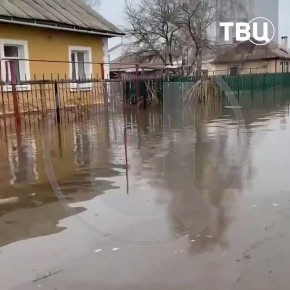 �������� ������: ������� ������� ���������� ����� �� ����� �� ������������� ��������