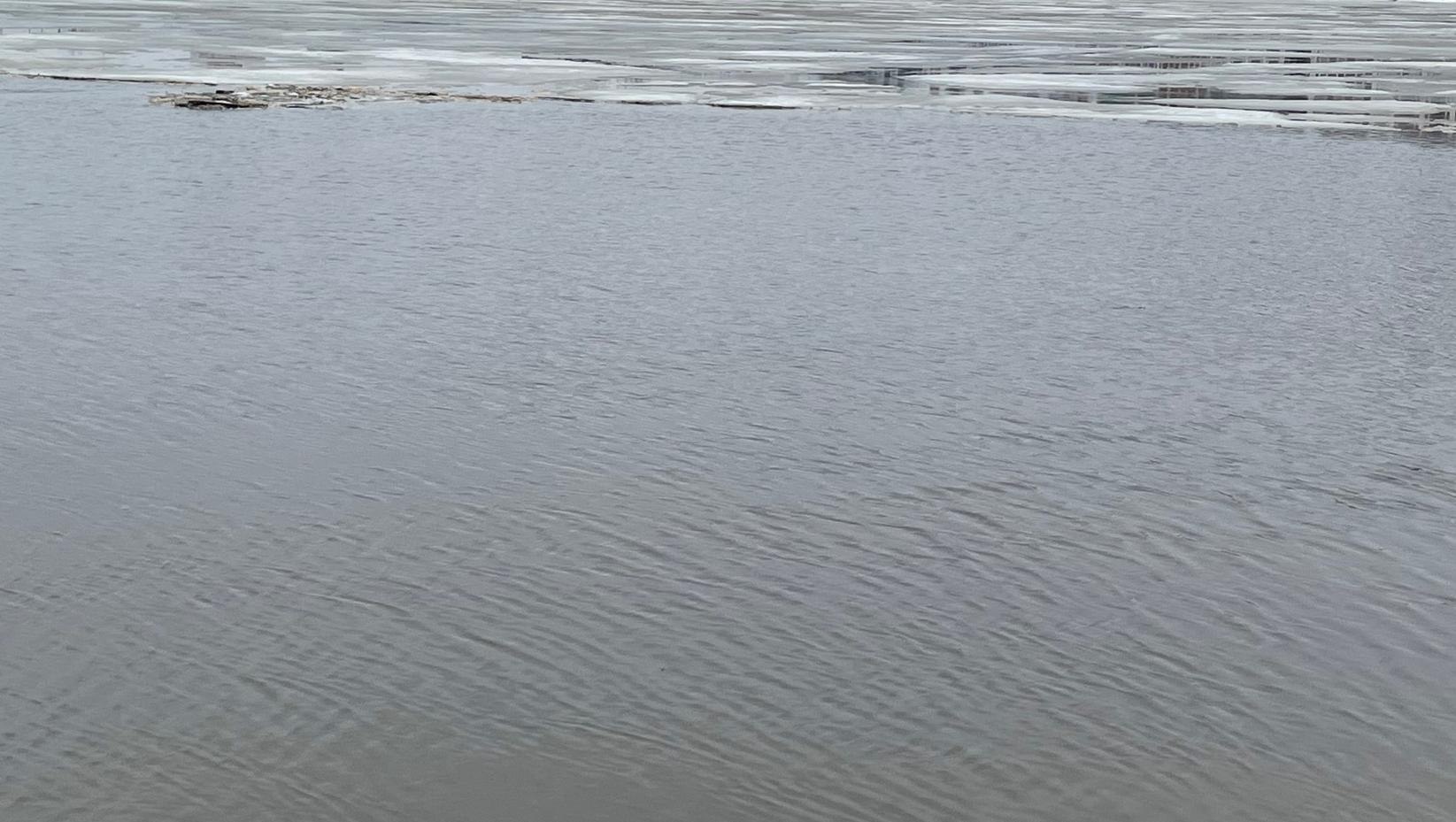 На Малой Кокшаге прогнозируют подъём воды до опасной отметки 630 см