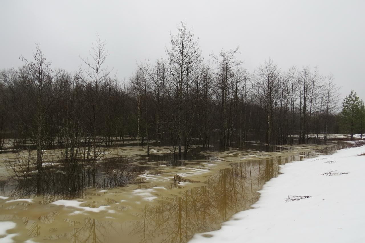 На реке Большая Кокшага началась активная фаза весеннего половодья