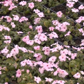 Доброе утро!. Вторник — отличный день, чтобы доказать себе, что понедельник был просто разминкой