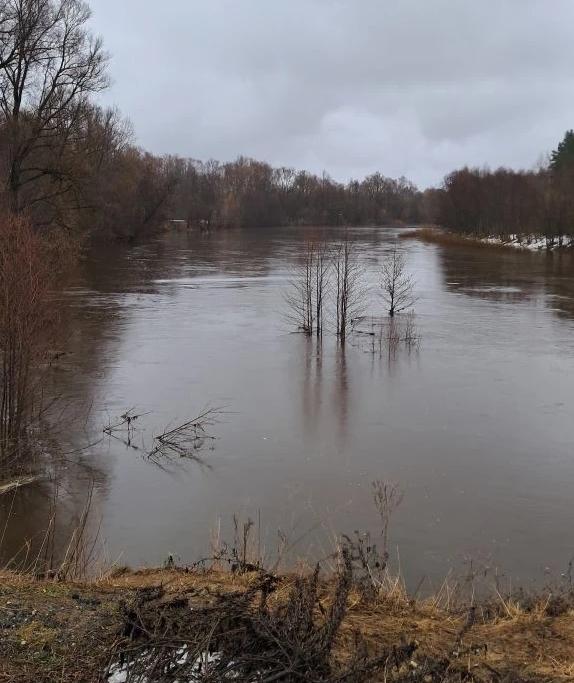 На реке Илеть и ее притоке Юшут наблюдается значительный подъем воды