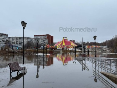 Ситуация на Аллее здоровья сейчас такая