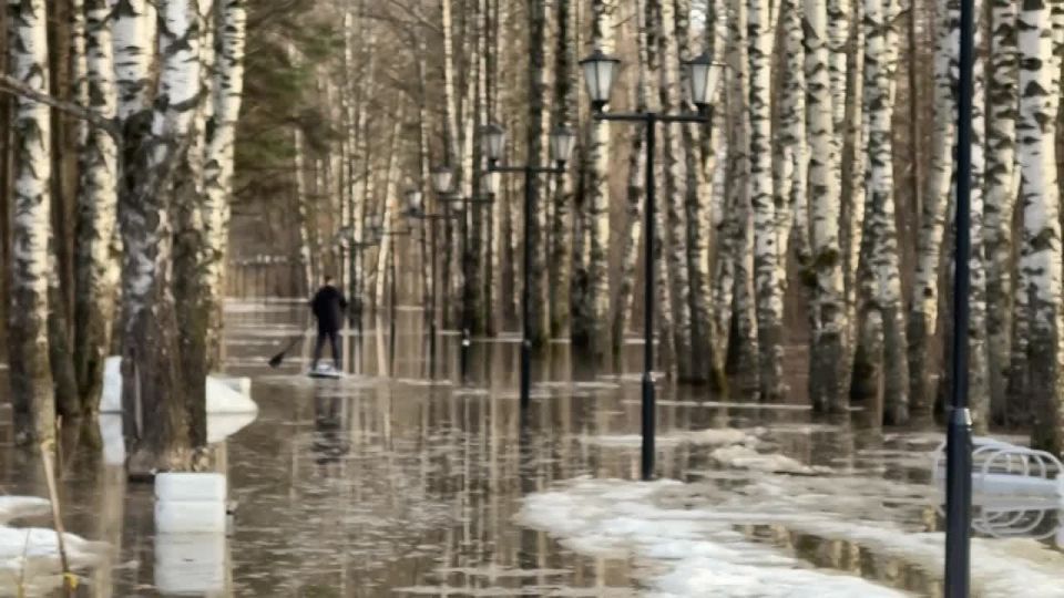 ����� �������� ������ �������������� �������� �� ������ ������� ����� � �������� �� �����