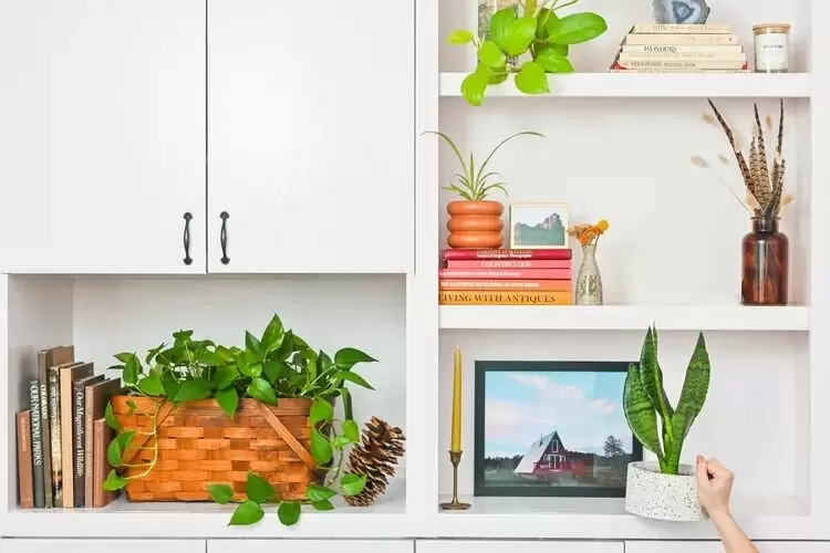 Искусство декорирования: как создать стильные книжные полки