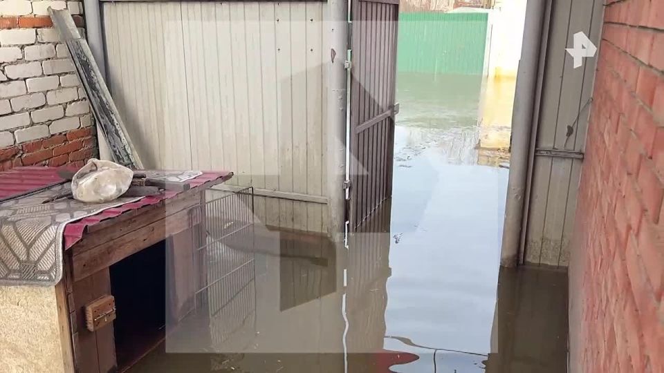 �� ���������� ���������� ���� ������ ���������� ����� �� ����� �� ������ � ���� � ������� ��������� ������� ����������� ��������