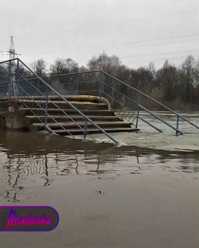 ��������� ������ ��� ���� � � ����� �� ����� 500 ����� � �������� ��������� ����������