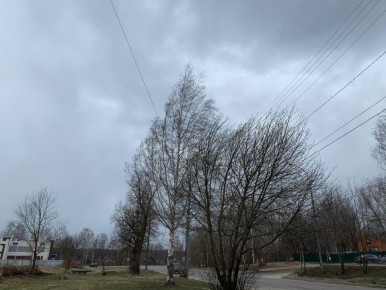 ���� 9 ������ ������� �� ����� �� ��������� ������� �����, ������ 15-18 �/�, �������� ��������� ���� - ������ ���� �������-�������� ���ѻ