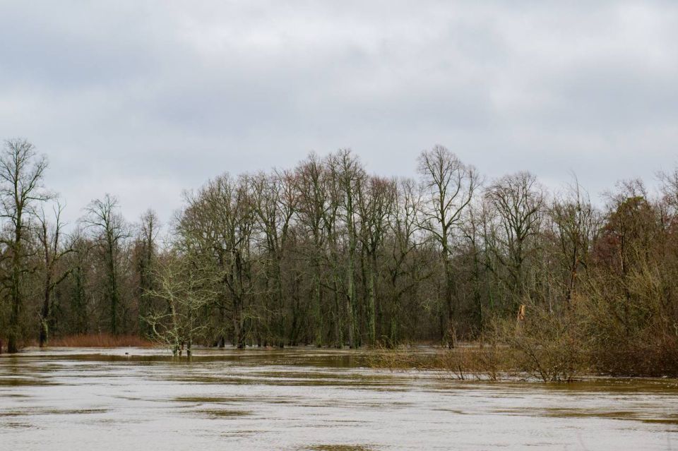 ����������������� ����������� � ����� �� ���������� � �������������� ������