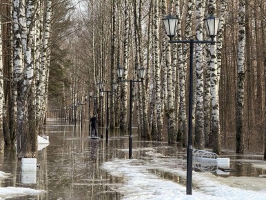 ������� � ����� �� �������� ������, ����� ��������� �����, ���� ���������