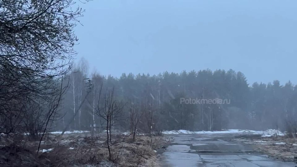 ����� ��, 9 ������