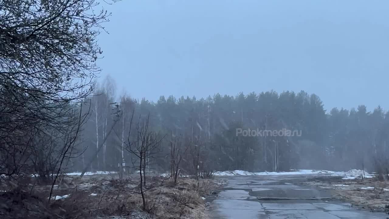 Марий Эл, 9 апреля