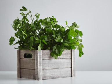 �������� �� ����: ��� ��������� ������ ���� � ����