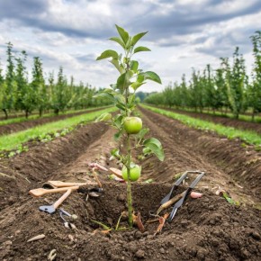 �������� �����: ��� ��������� ������ �� ������� � ����� �������