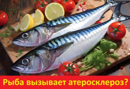 ���� �� �����: ���� ��� ���� ��� ��������-���������� �������?