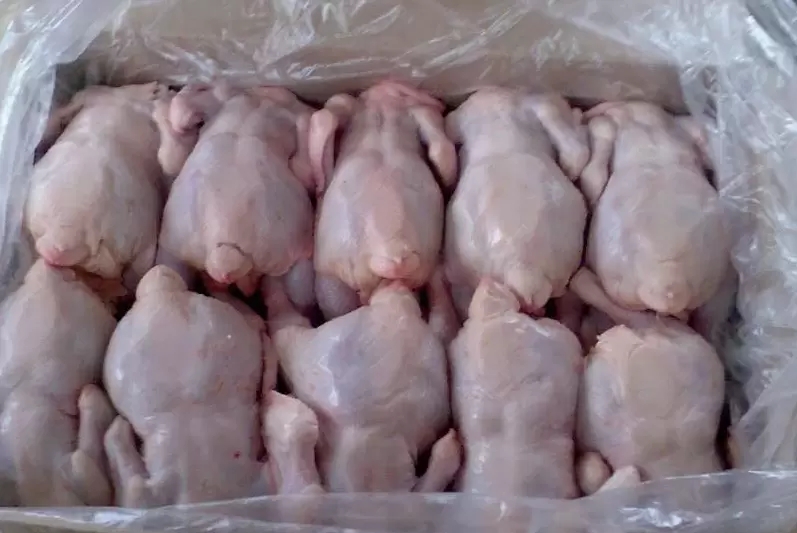 Куриное мясо: что скрывается за привычным столом?