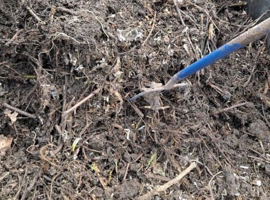 ��� �� ���� ����� ���������� ������� ������ � ����������� �������