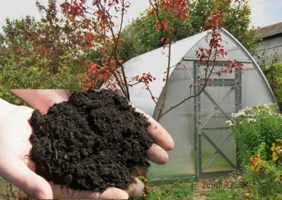 Осенняя подготовка парников: секреты успешного выращивания овощей