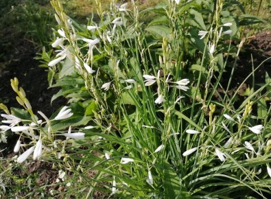 ���������: ������� � �������� ��� ������ ����