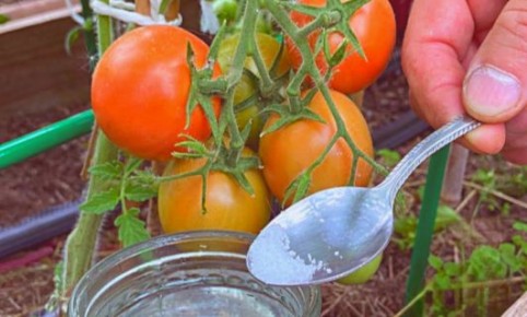 ��� ���������� ������� ������� ������: ������� ��������� � ������ ������������