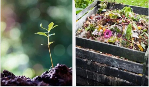 ������ ����� ��������: ��� ������ ����� ���������� � ������ ���