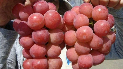 ������������ ����� ��������� �� �����: ��������� ������� �����������