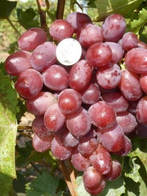 �������� ��������: ��������� ��������� ������� � ����� ��� ������� ������