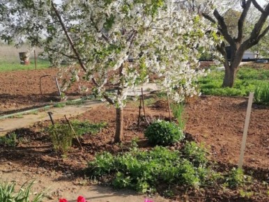 ����������� ������ � ���������: ��� ����������� ��������� ����� �������� ������ �����