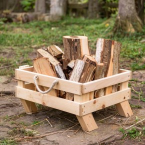 ��� ������� ��������� ��������� ��� ���� ������ ������: �������� � ����� � �����