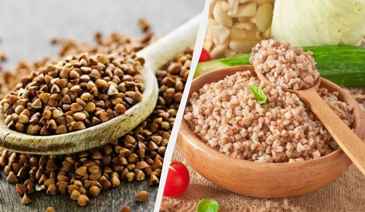 Как сварить идеальную гречку: секреты рассыпчатого гарнира