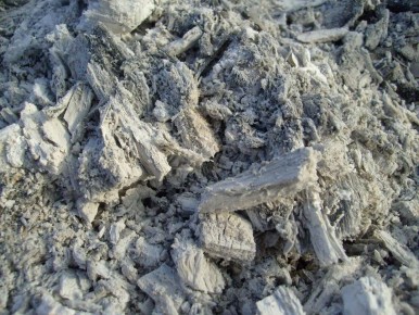 ���� �� �����: ��� ��� �������� �������� �������� ������