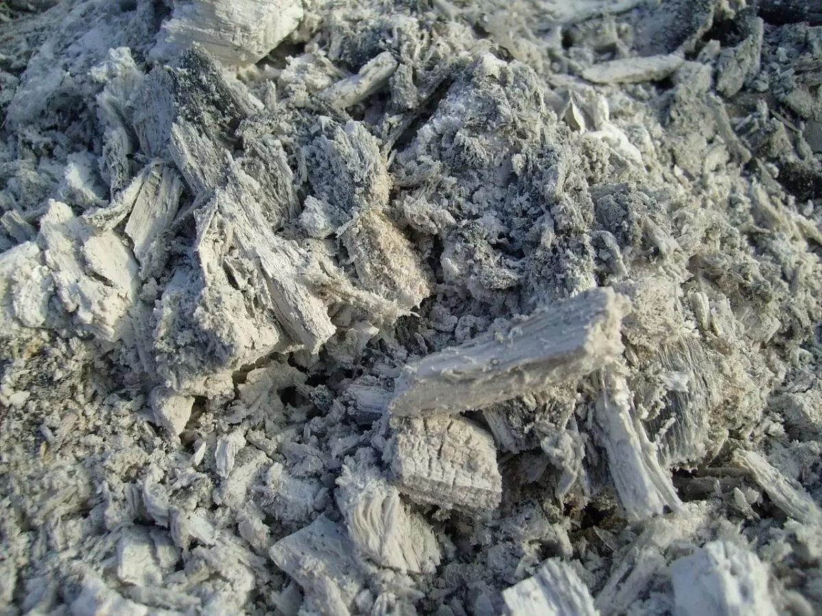 Зола на снегу: как она помогает плодовым деревьям весной