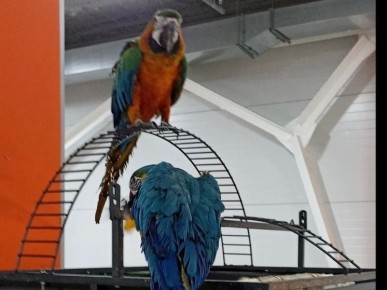 �� �������� �������� � ������-�������� �� ������� ��������� �������������