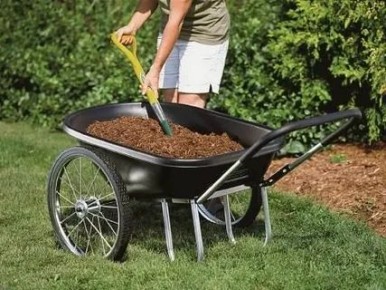 ��������� �������-�����������: ��� ��������������� ���� ������ ������� �����