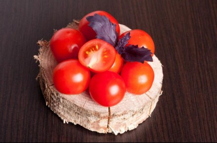 ������ ����� ����������: ���� � �������������� � �������� ����������