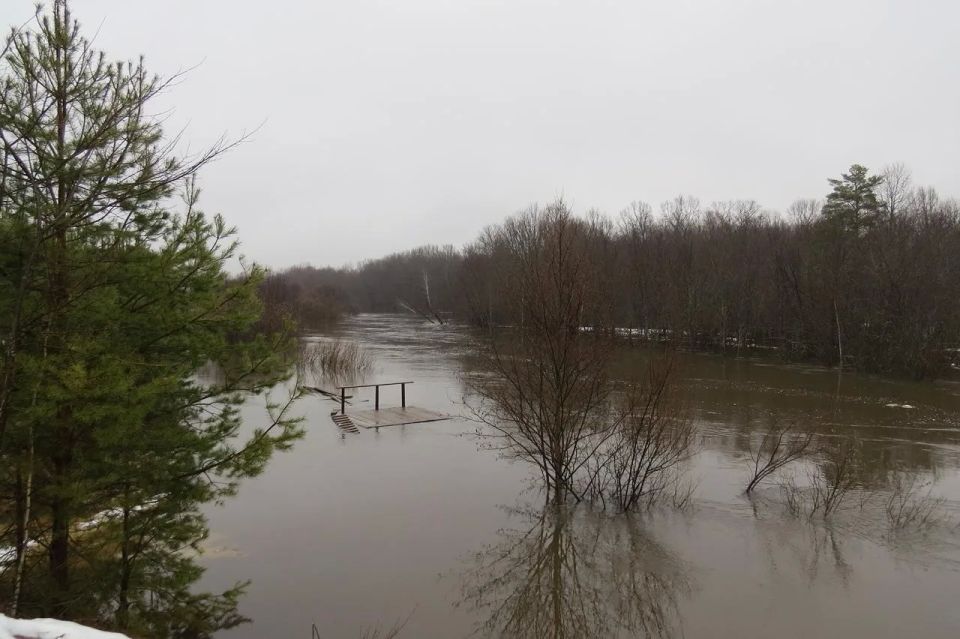 �� ������ �� 12 ������, ������� ���� � ���� ������� ������� � ����������� ����������� �������� 448 ��