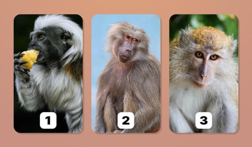 ���� �� ��������: ����� �������� �� �������� � ��� ��� ������� � ���?