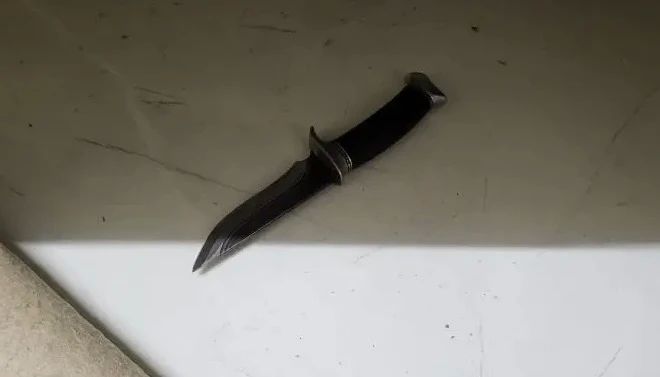 ������ ������������ ������ ���������� � ���������� ������� ����� ��������