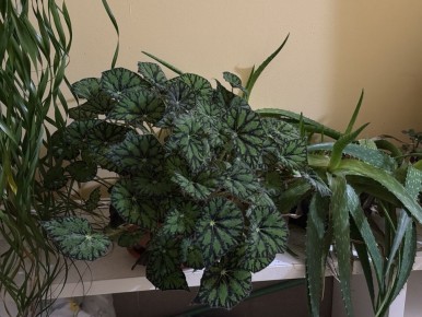 ���������� � ��� �������: ��������� ����� � ���� �� ����