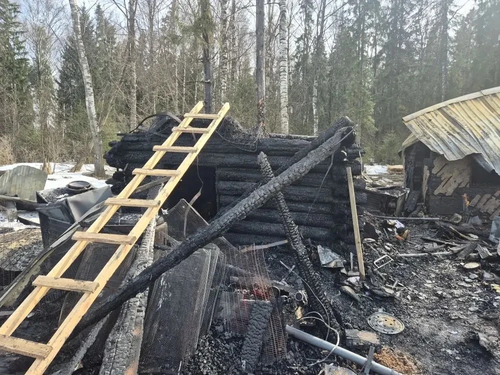 По оперативной информации, 14 апреля 2026 года в частном доме на ул. Фабричная п. Краснооктябрьский Медведевского района произошло возгорание