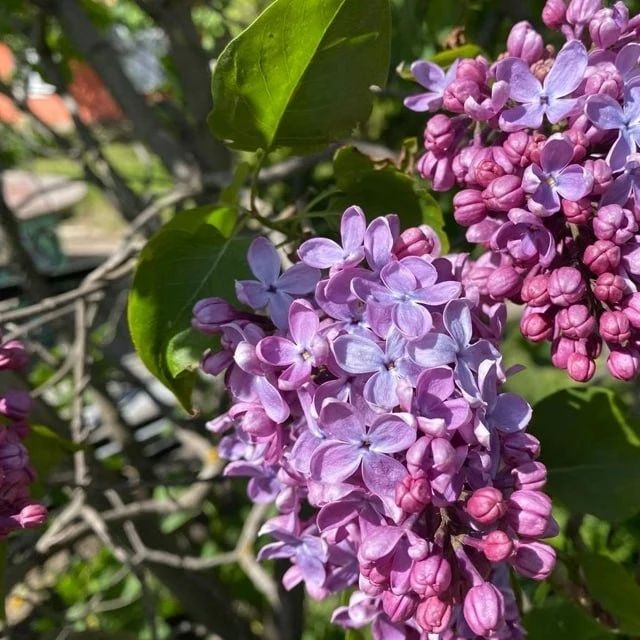 ������ ����! �� ����� ���������� ������� � �������� ��� ����� ������