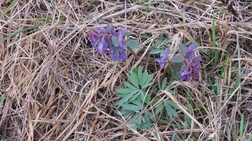 � ����� �� ������ ����� �����������