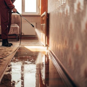 Почему дезинфекция после затопления — залог здоровья вашего дома