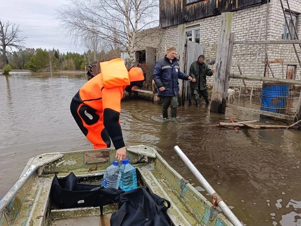 Спасатели МАСС доставили пожилому жителю урочища Ильинка в Звениговском районе лекарства, воду и продукты