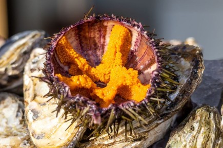 Исследуя мир через вкус: как кулинария и вино становятся ключами к осмысленным путешествиям