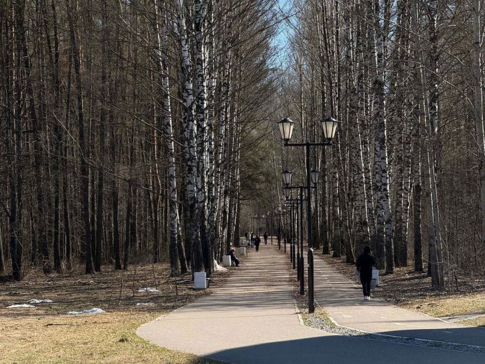 ���������� �� ����� �������� ���������������: ���� ���� � �������� ����� ����� �������� ���������